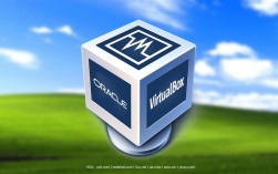 VirtualBox共享网络如何配置与使用？