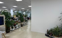 广州细刻网络科技是做什么的？