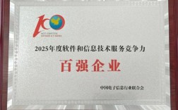 软件及信息技术服务企业如何创新发展？
