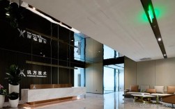 深圳讯方技术股份有限公司怎么样？