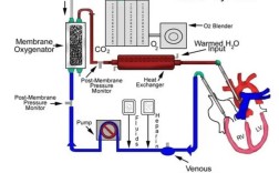 Inter快速启动技术如何实现高效启动？