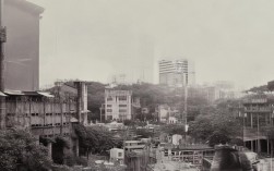 内蒙古今日新增本土病例，内蒙古今日新增本土病例多少