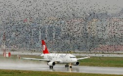 成都机场无人机事件图片