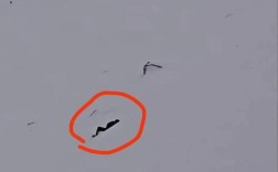 dji无人机坠毁找不到