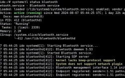 Linux如何高效查看网络连接状态？