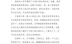 无人机如何闯入机场安全防线？