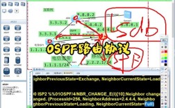 OSPF网络设计如何高效解决复杂组网问题？