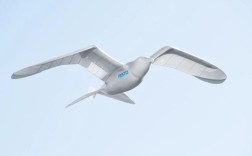 无人机天空之眼会否误伤小鸟？