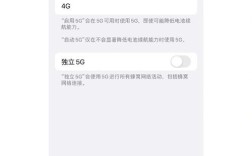 苹果不能用蜂窝移动网络