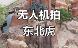 老虎怎么拍无人机的？教程在这里！