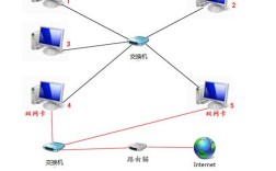 下列网络属于局域网的是