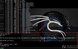 Linux渗透技术有哪些核心工具与技巧？