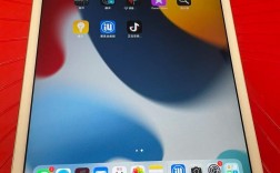 无人机用iPad mini4为何成首选？