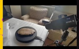 aoc的丽比技术与活彩技术