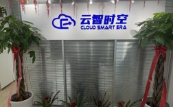 北京云网高科技术有限公司做什么的？