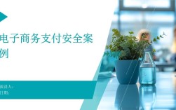 电子商务 网络支付安全