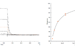 spr子像素渲染技术如何提升显示精度？