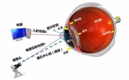 眼球追踪技术怎么开启？