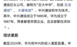 中兴如何突破美国技术禁运困局？