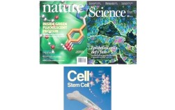 自然-生物技术杂志有何前沿突破？
