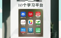 国家中小学网络云平台APP下载方式是什么？