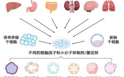 Clever Color技术如何实现色彩智能优化？