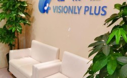 北京闪惠信息技术有限公司是做什么的？