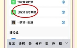 苹果6s如何开启3G网络？