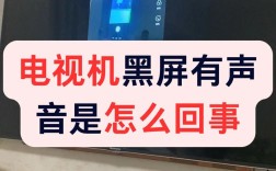 tcl 不能看网络电视