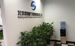 北京楚枫网络科技有限公司是做什么的？