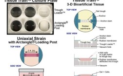FlexIO技术与Freescale有何关联？