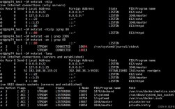Linux网络命令有哪些常用技巧？