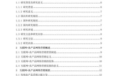 网络营销策略毕业论文如何创新与实践？