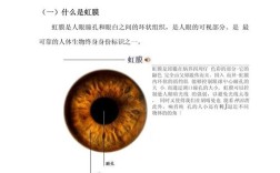 vivo虹膜识别技术安全吗？