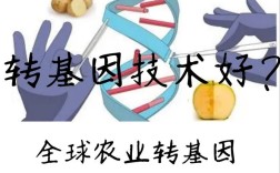 转基因技术发展与应用前景如何？