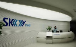 杭州斯凯网络科技做什么业务？