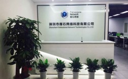 金华青橙网络科技有限公司是做什么的？