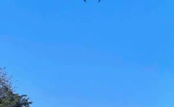 燃料电池无人机送外卖，靠谱吗？