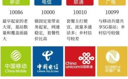 网络运营者具体指网络的哪些主体？