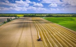 乌克兰生物农业技术有何突破？