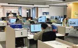 上海星期网络科技有限公司做什么的？