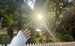 苹果Xmax拍照技术有何突破？