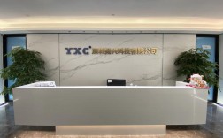 从兴技术有限公司是做什么的？