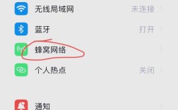 苹果手机怎么开网络数据？