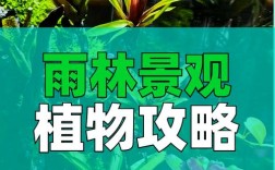 雨林木风深度技术哪个更值得选？
