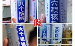 中国的山寨技术有多强