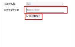 Windows安全输入网络密码错误怎么办？