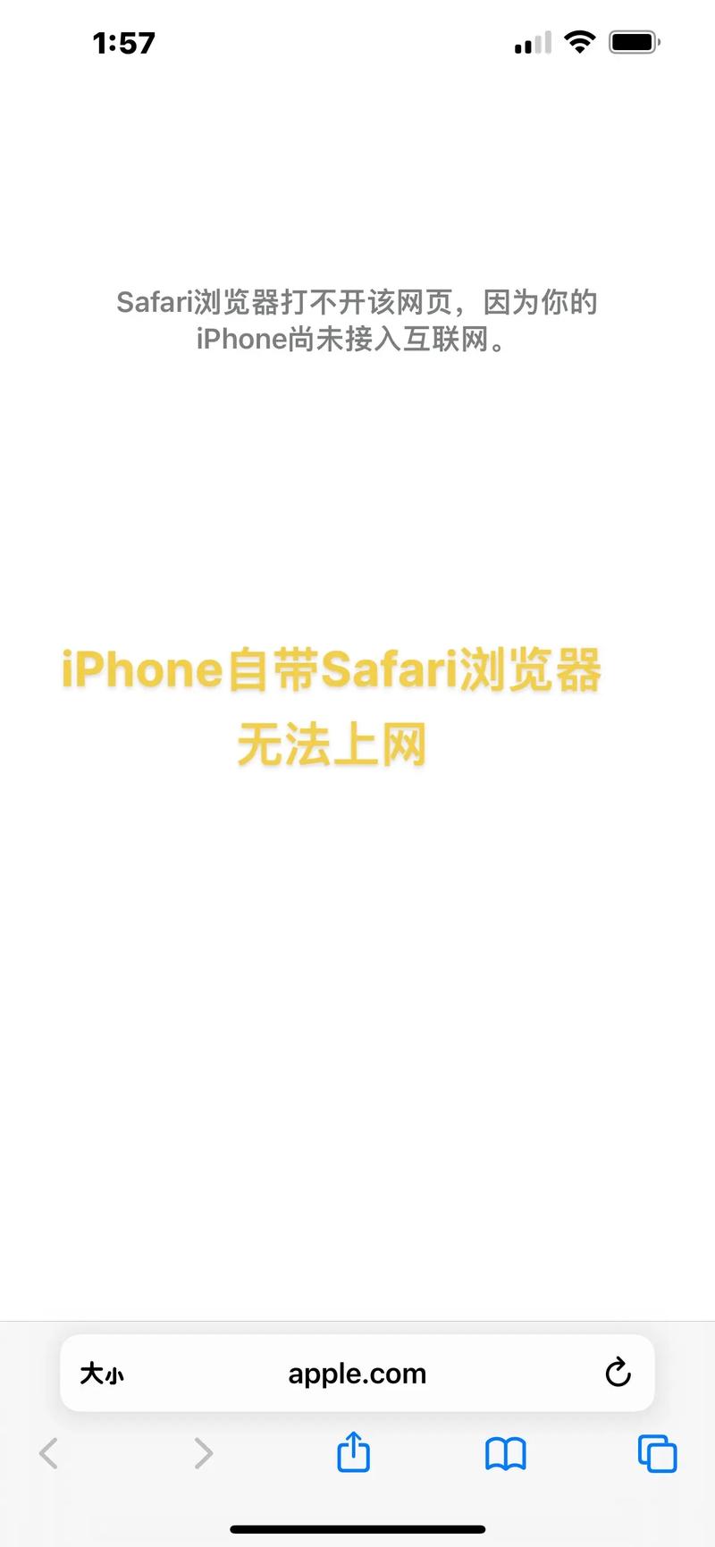 safari无法打开网页丢失网络连接