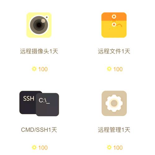 网络人 netman 远程控制软件