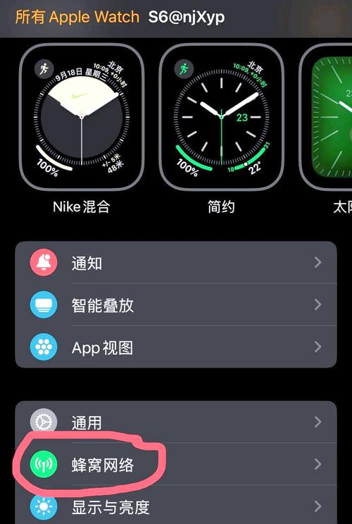 iphone 没有蜂窝移动数据网络